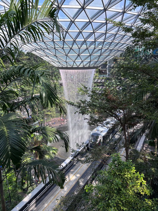 Rain Vortex at Changi Airport — water cascading through tropical trees beneath a glass dome